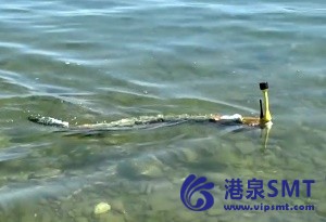 针对一个机器人鳗鱼的水污染源